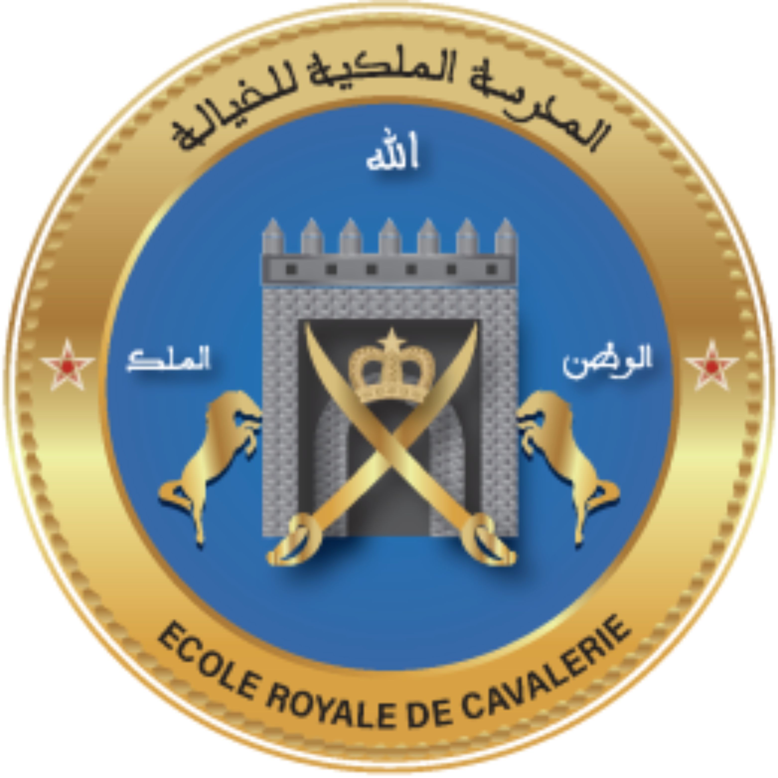 Logo ERC