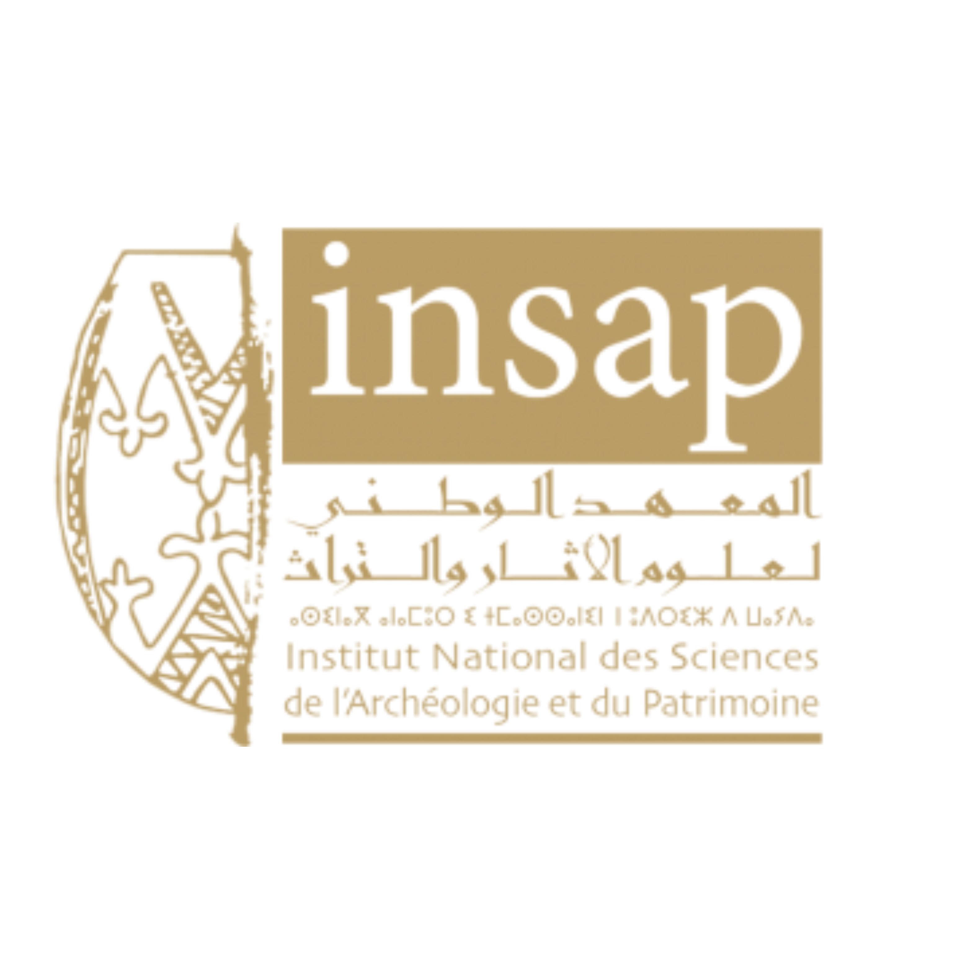 Logo INSAP