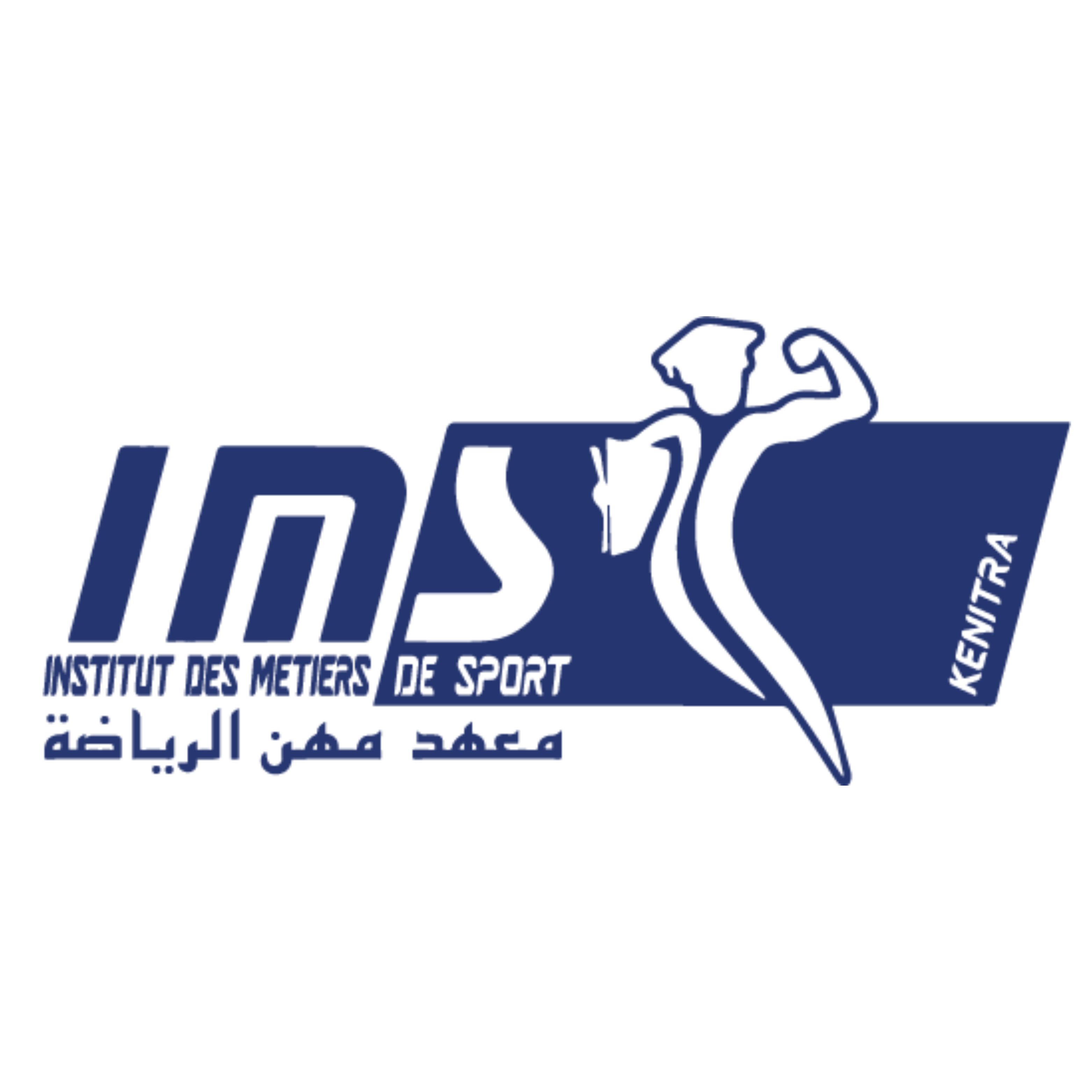 Logo IMS