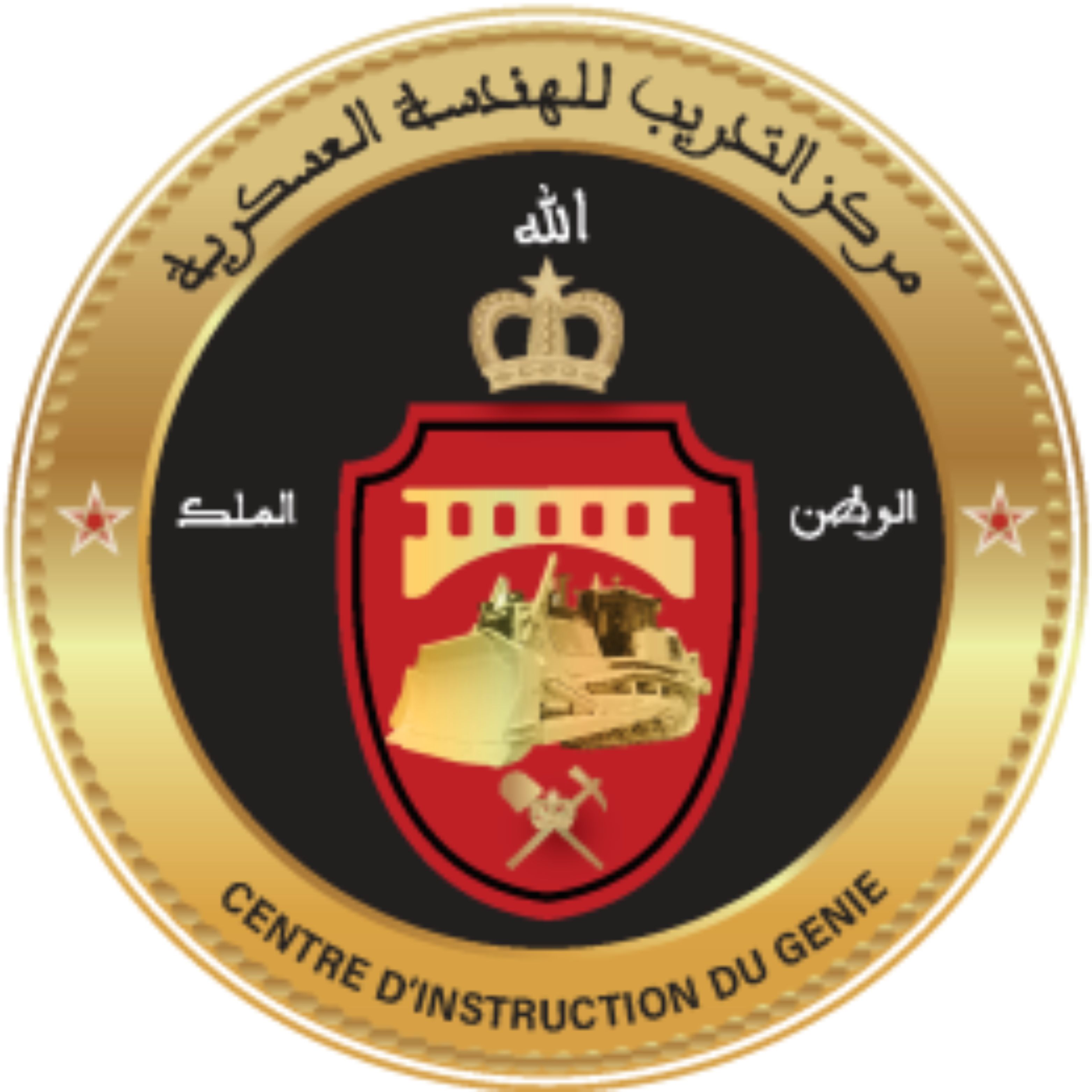 Logo CIG
