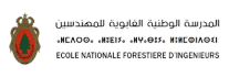 Logo ENFI