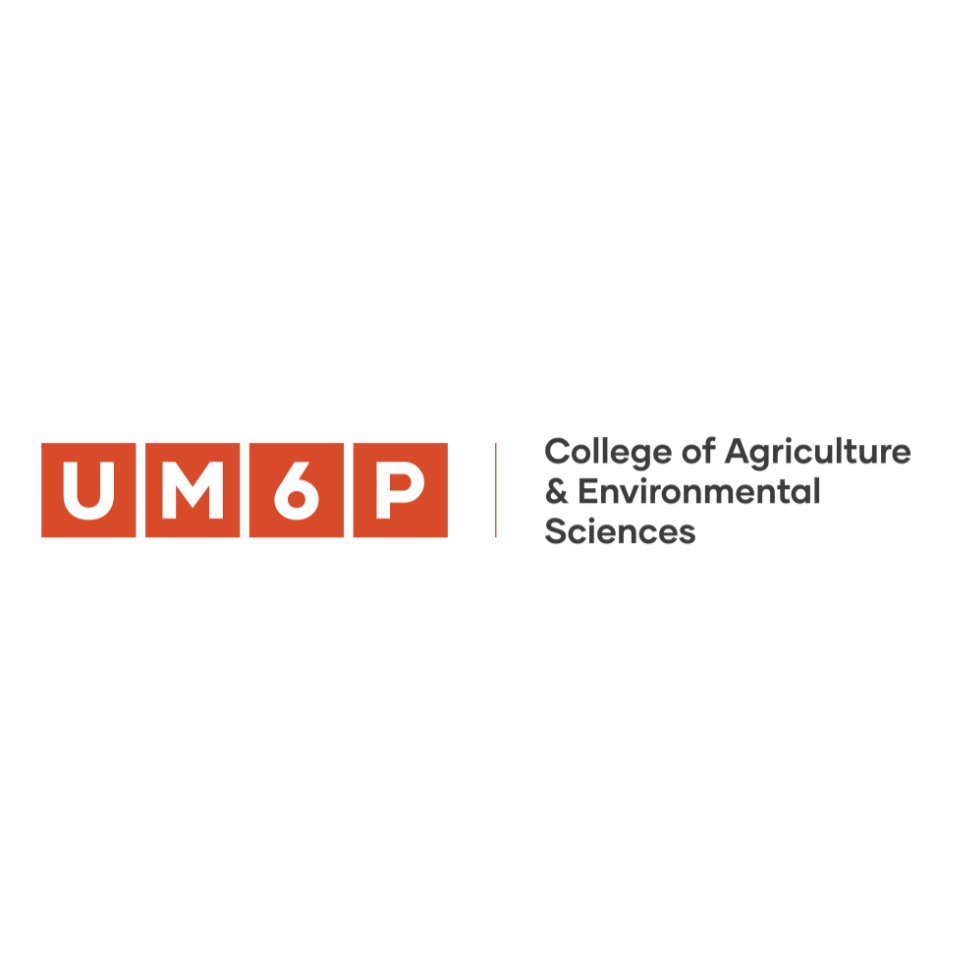 Logo UM6P-CAES
